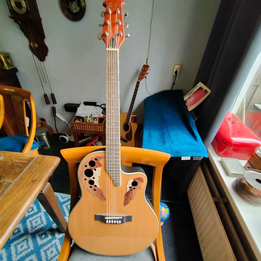 Gitaar, Ophalen, Zo goed als nieuw, Overige typen