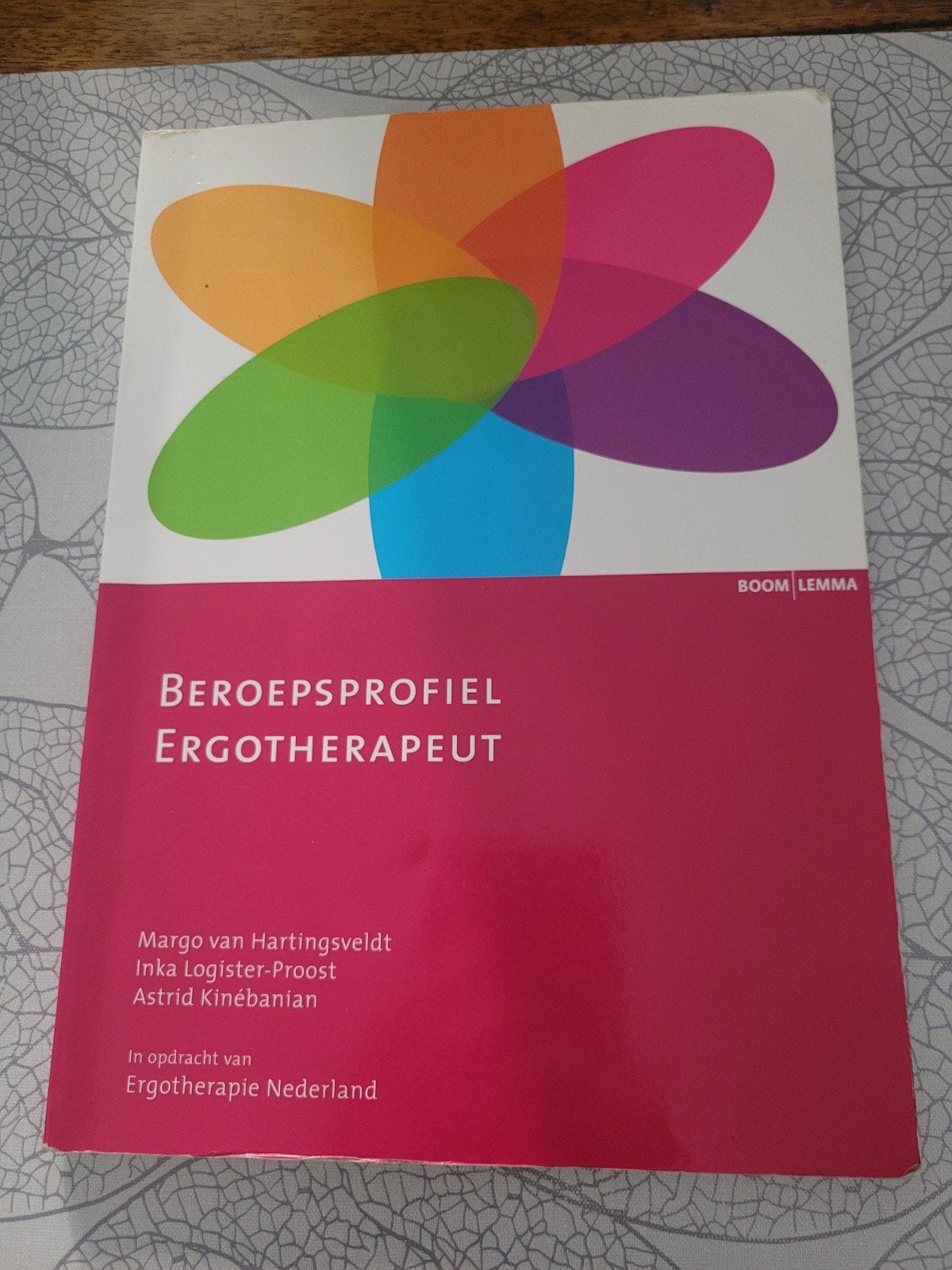 Beroepsprofiel Ergotherapeut - Margo van Hartingsveldt, HBO, Zo goed als nieuw, Alpha, Ophalen