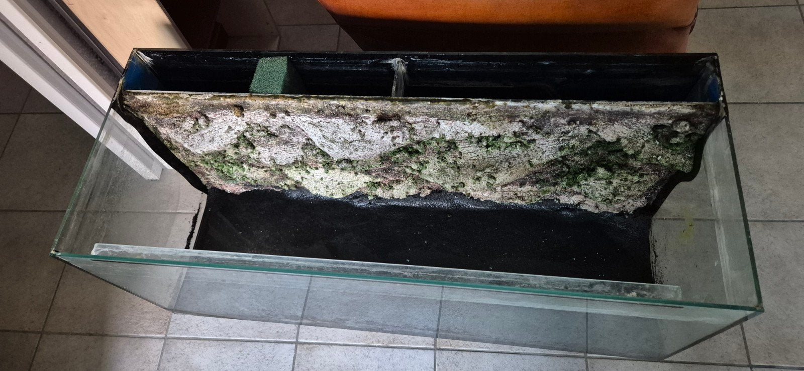 GRATIS 120L Aquarium met kunstplanten 100x40x40, Ophalen