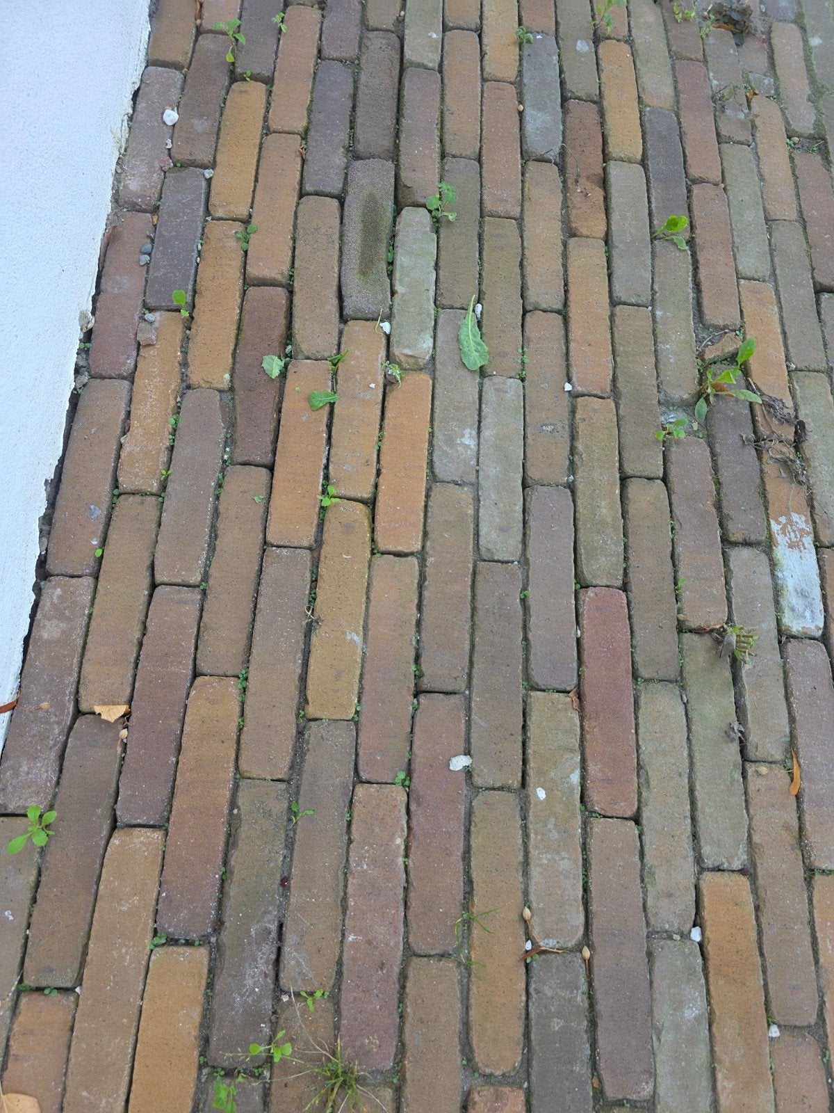 Oude Waaltjes - Gebruikte Klinkers voor Tuin en Terras, Tuin en Terras, Ophalen, Overige materialen, Gebruikt, Klinkers
