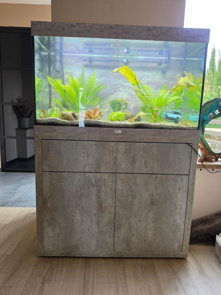 Zeer compleet aquarium incl vissen, Dieren en Toebehoren, Vissen | Aquariumvissen