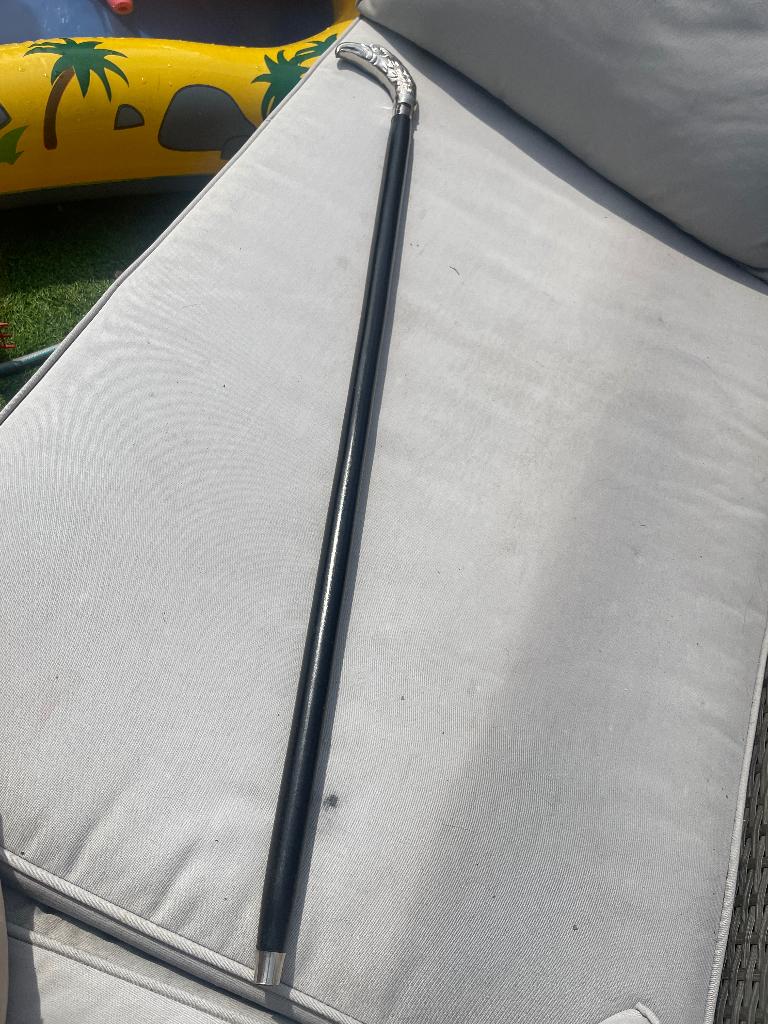 Wandelst met adelaarskop, Diversen, Wandelstokken, Ophalen of Verzenden, Gebruikt