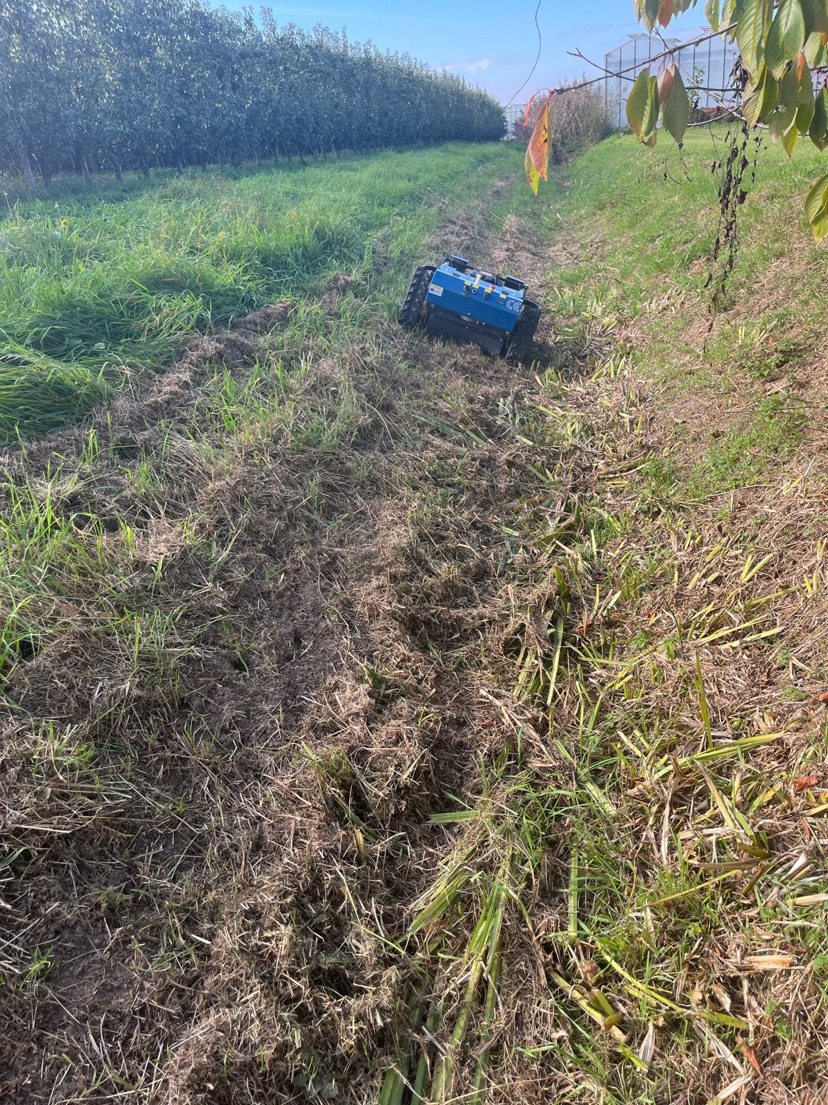 Robuuste robotmaaier voor ruw terrein en hellingen, Ophalen, Cirkelmaaier, Gebruikt, Mulchfunctie