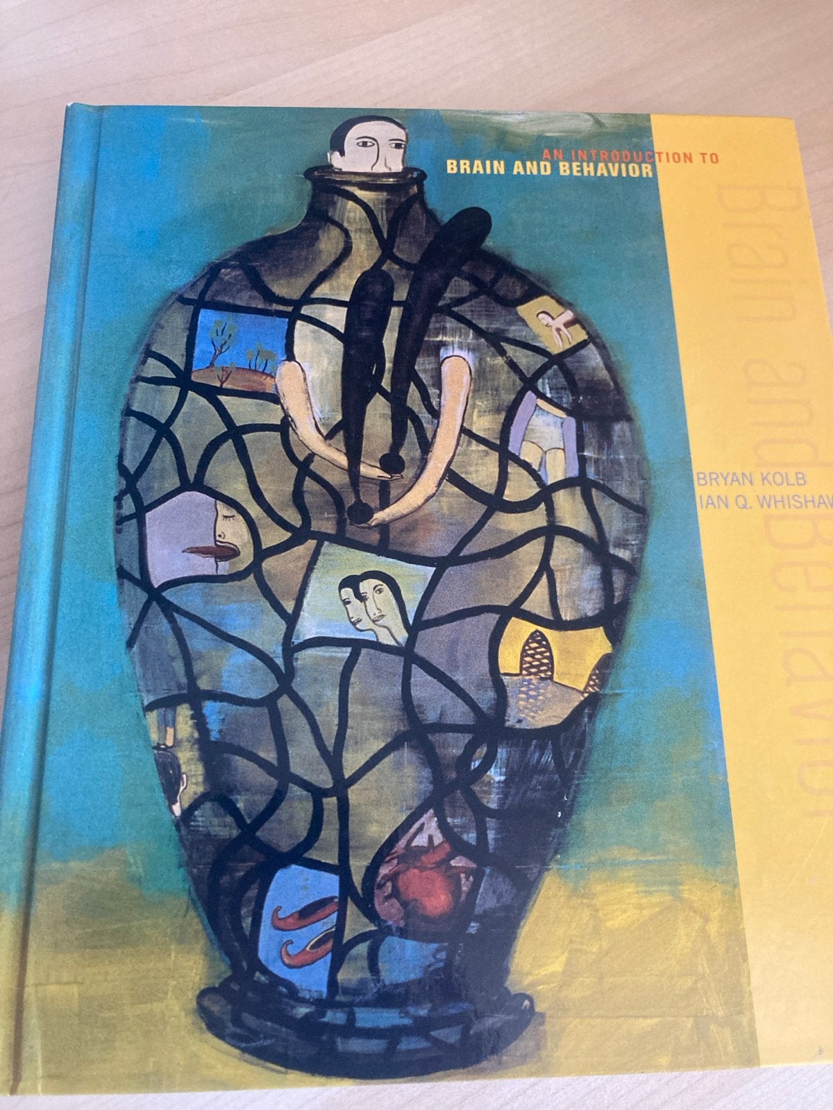 An Introduction to Brain and Behavior - Bryan Kolb, Boeken, Ophalen of Verzenden, Beta, Zo goed als nieuw, HBO