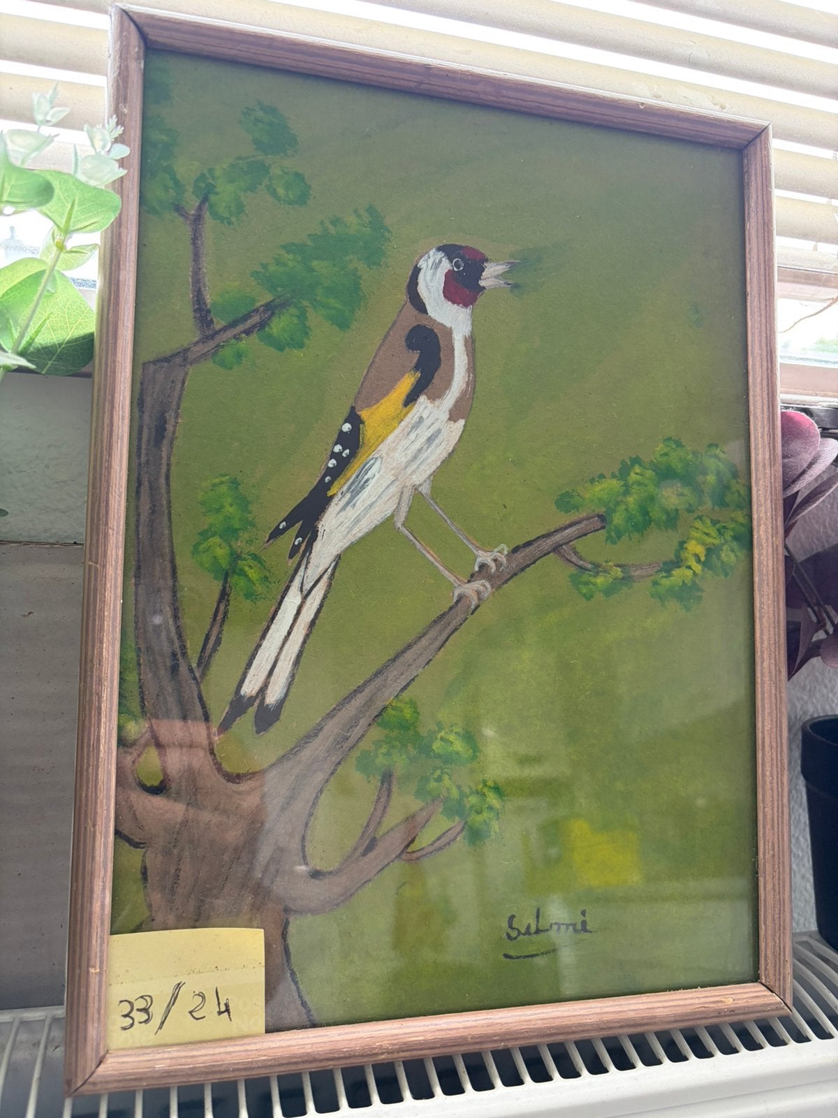 Putter lijst, Dieren en Toebehoren, Mannelijk, Wildzangvogel