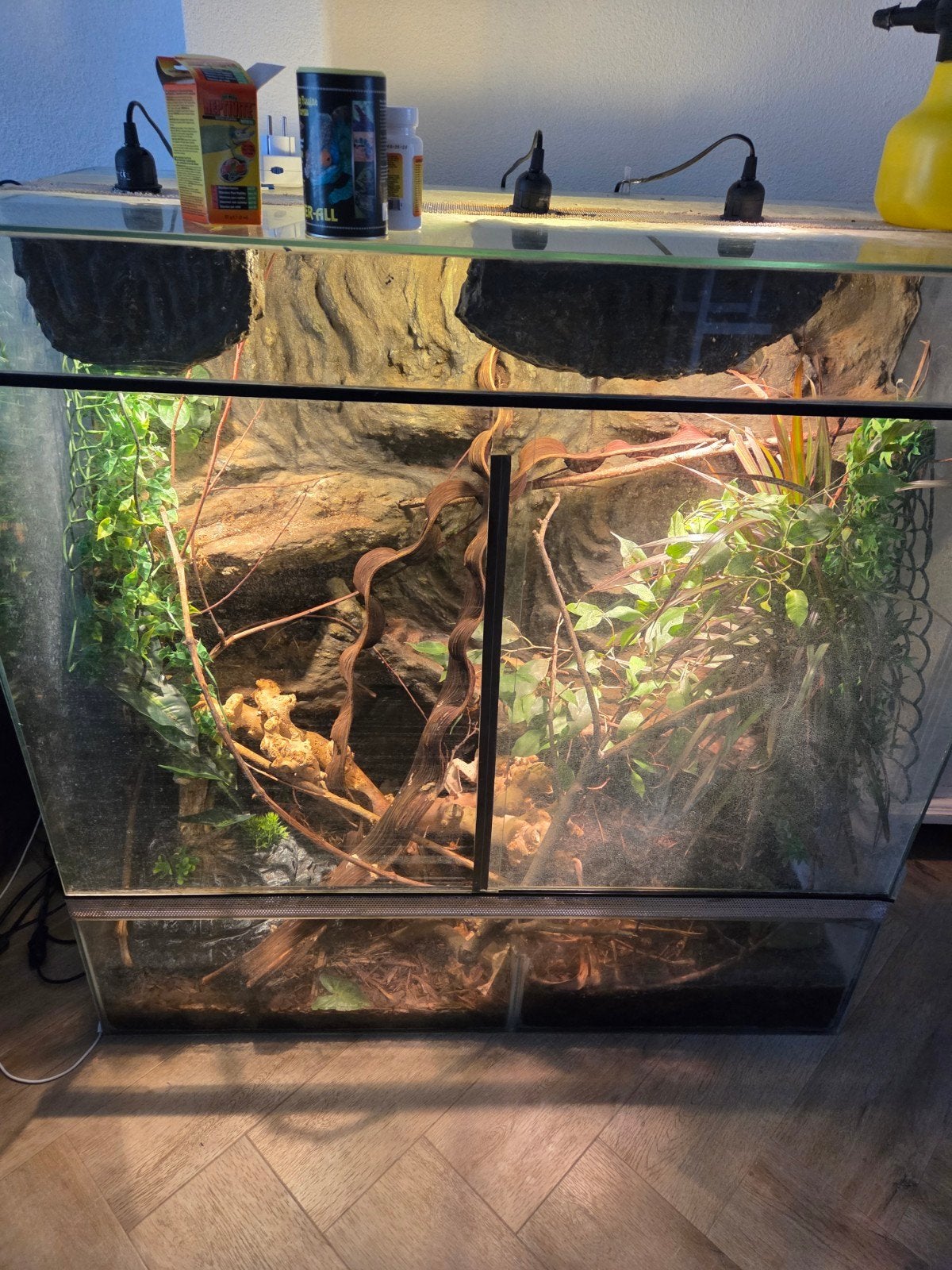 groot terarium met al de toebehoren, Ophalen, Gebruikt