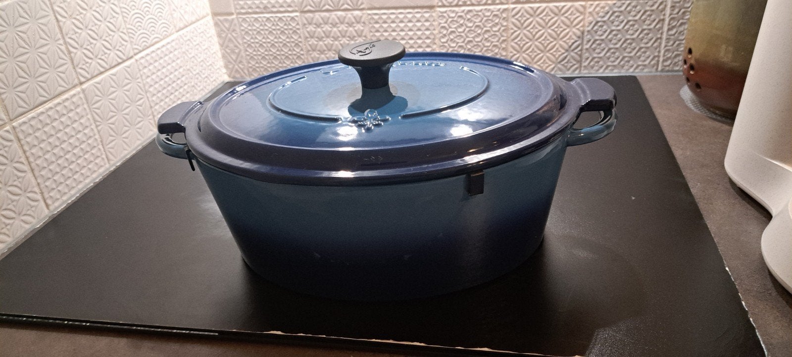 Fontignac Gietijzeren Braadpan - Blauw 29 cm ovaal, Ophalen, Zo goed als nieuw, Met deksel, Overige merken