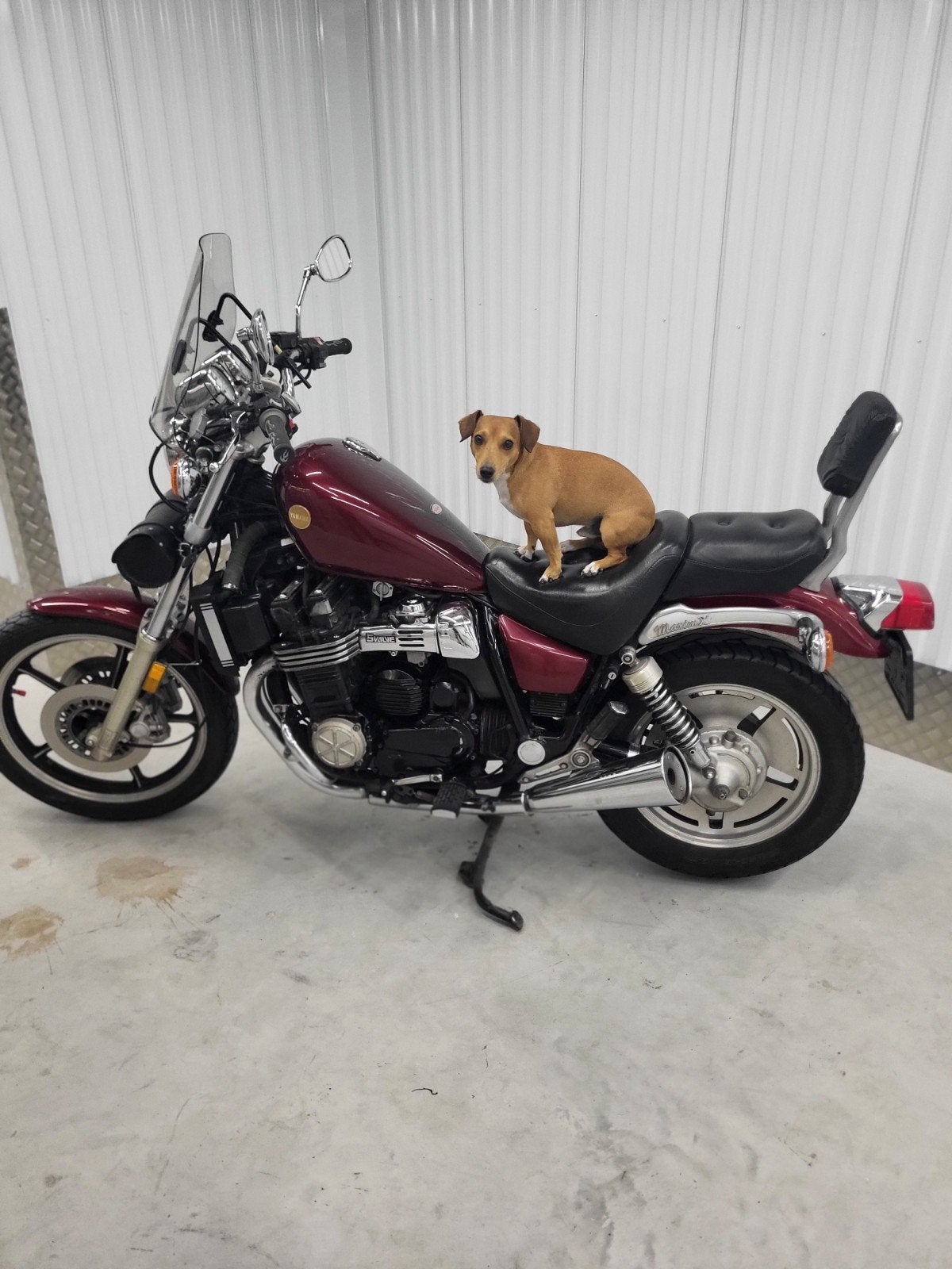 Yamaha maxim xj700 belastingvrij, Motoren, Gebruikt, M.overkleeft1968@outlook.com, Marcel scooters, 3201vl