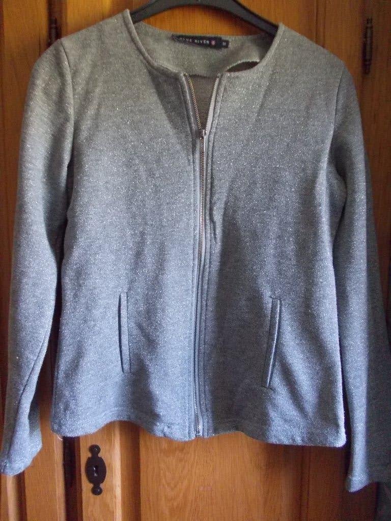 Mooi vest(jasje) van Blue River, grijs, maat M., Kleding | Dames, Zo goed als nieuw, Blue River, Grijs, Ophalen