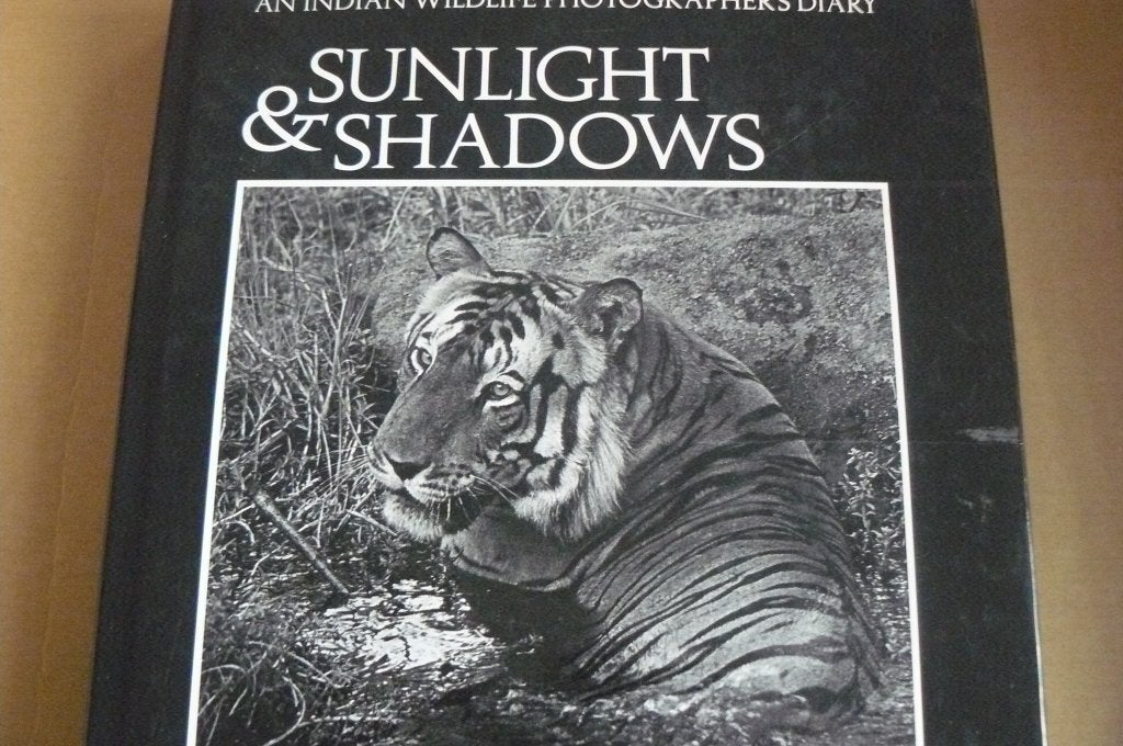 M.Y. GHORPADE / SUNLIGHT & SHADOWS / Wildlife photographer, Boeken, Ophalen of Verzenden, Gelezen, Fotografen