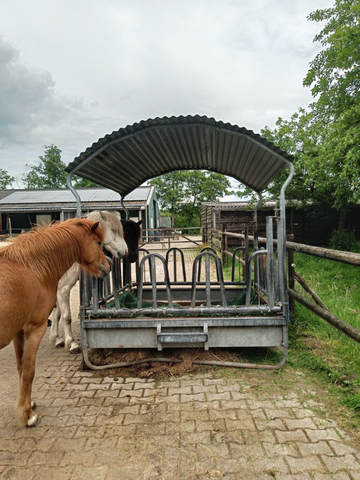 Metalen hooibak / hooiruif / voerruif 2x2m, Dieren en Toebehoren, Ophalen, Vee