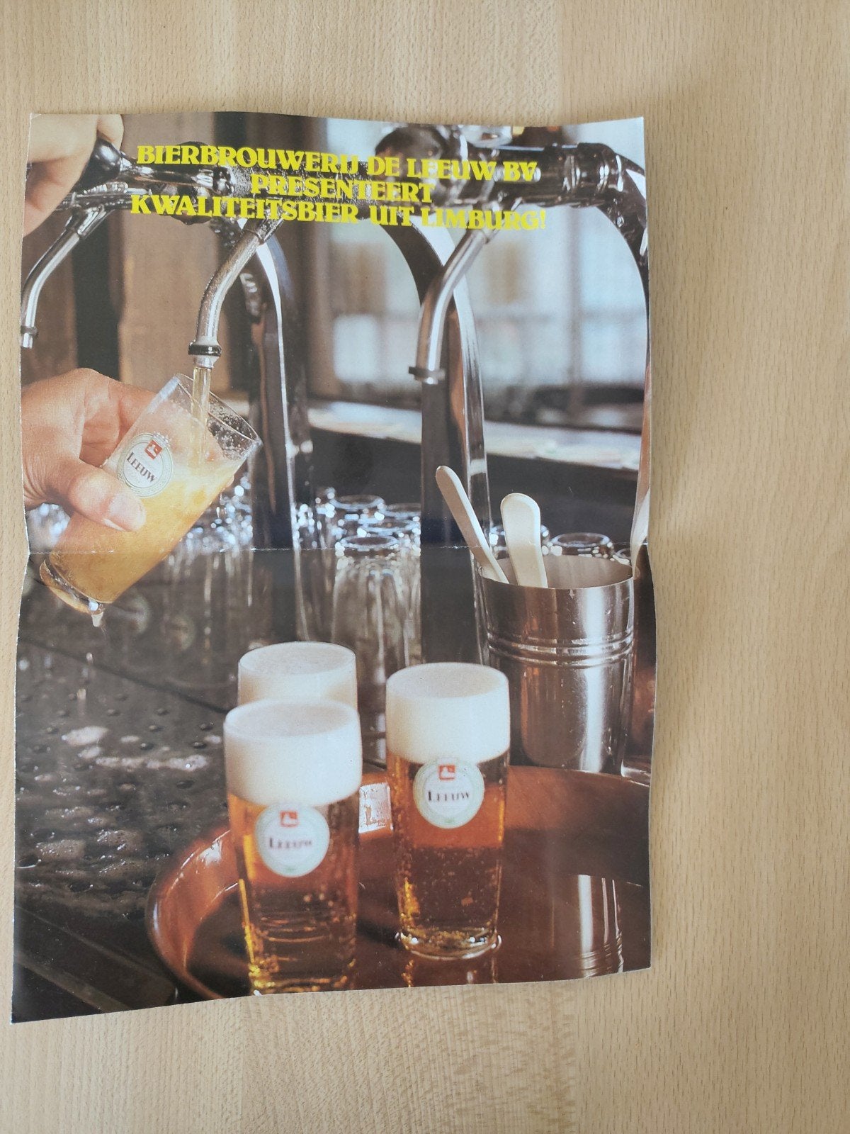 Folder Leeuw, Verzamelen, Ophalen of Verzenden, Overige merken