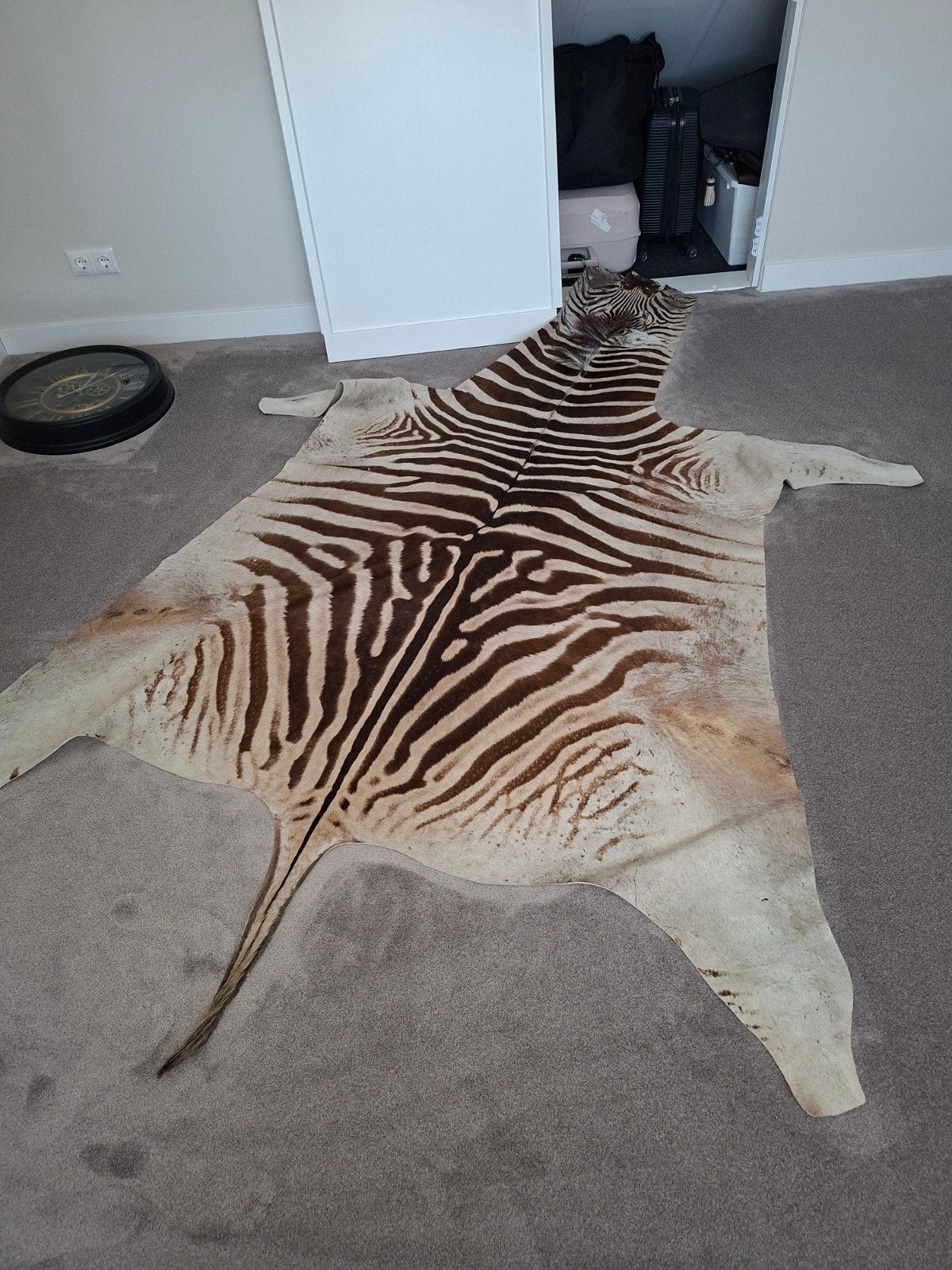 Zebravel tapijt - Uniek en decoratief, Huis en Inrichting, Ophalen, Exotisch, Modern, Natuurlijk, Gebruikt, 100 tot 150 cm