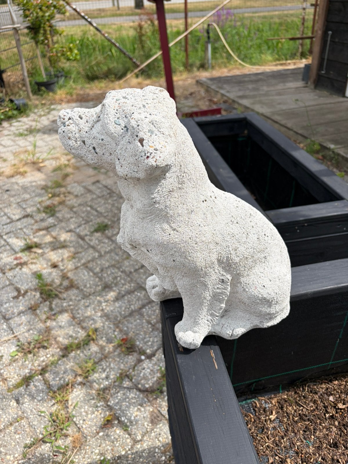Hondje van sierbeton 37 cm hoog €24,99, Ophalen of Verzenden, Zo goed als nieuw, Dier