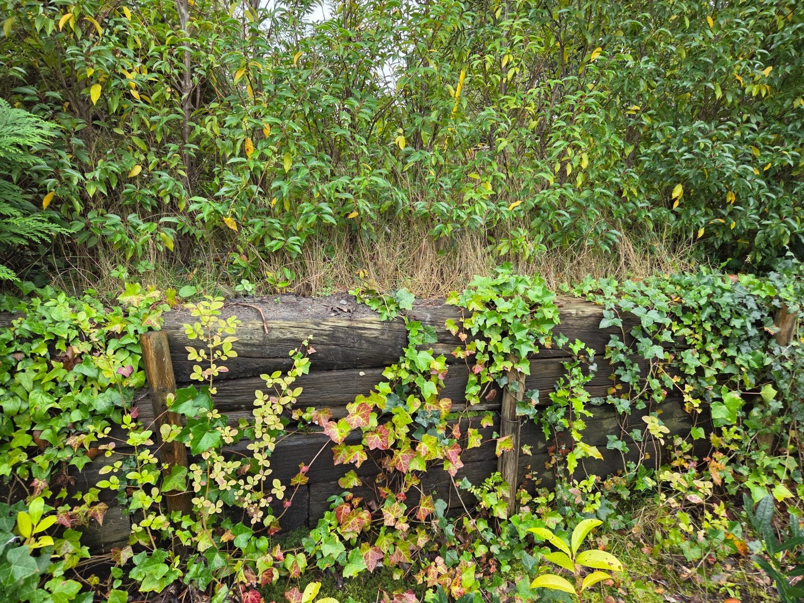 Houten (spoor) bielzen +/- 70 meter, Ophalen, Gebruikt, 100 tot 200 cm, 25 cm of meer