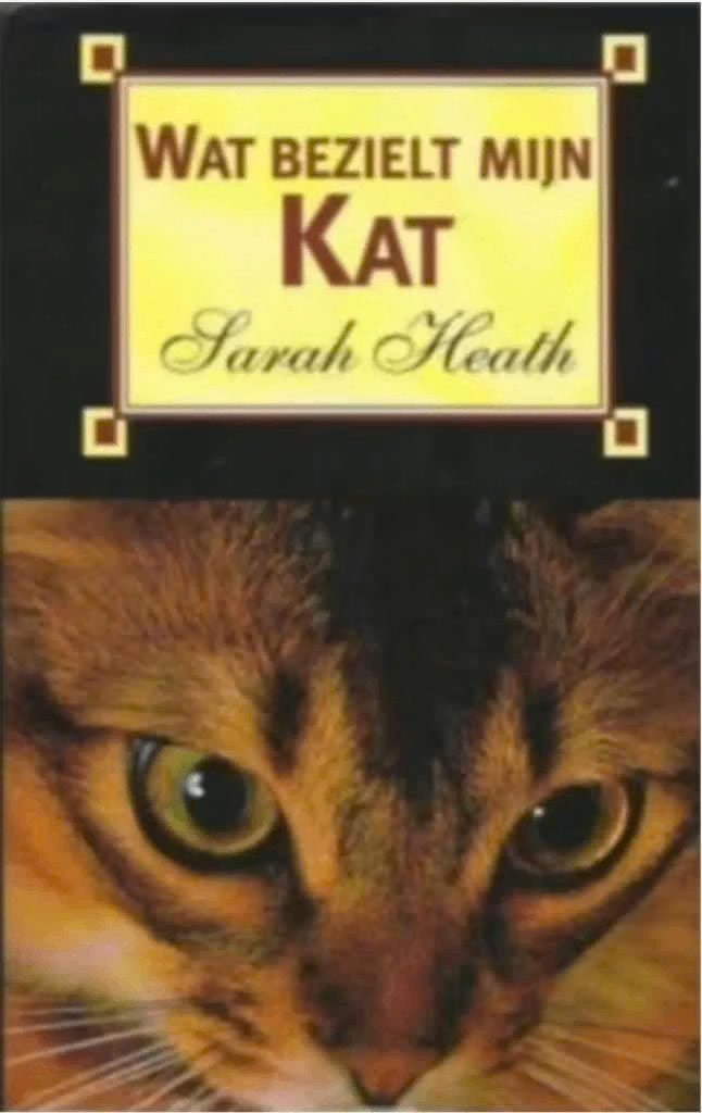 Wat bezielt mijn kat? (Sarah Heat), Boeken, Dieren en Huisdieren, Ophalen of Verzenden, Zo goed als nieuw, Katten