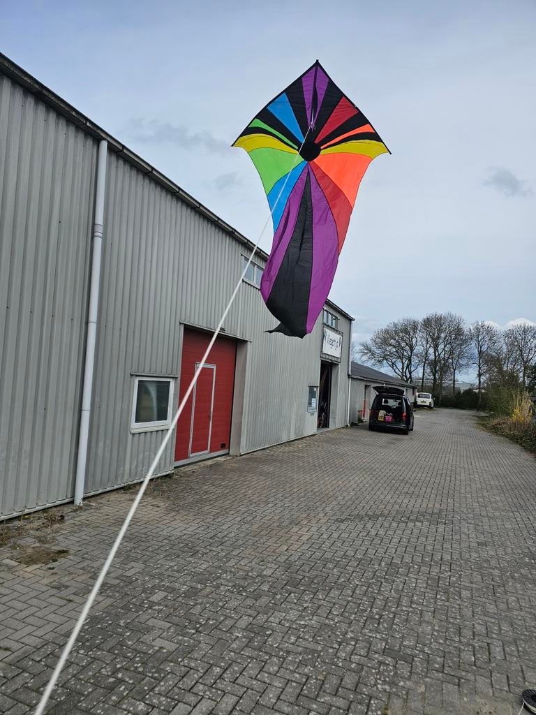 Sluierdelta Regenboog Vlieger - Spectaculair en Kleurrijk, Onbekend, Nieuw, Ophalen of Verzenden, Eenlijns