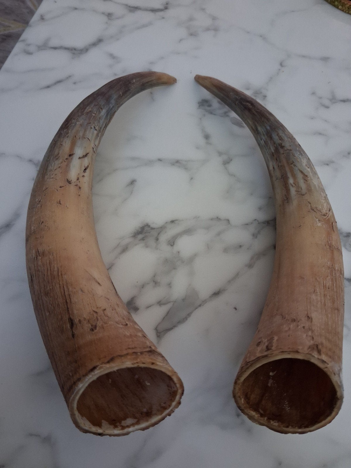 Decoratieve Hoorns - Natuurlijke Woondecoratie, Ophalen of Verzenden