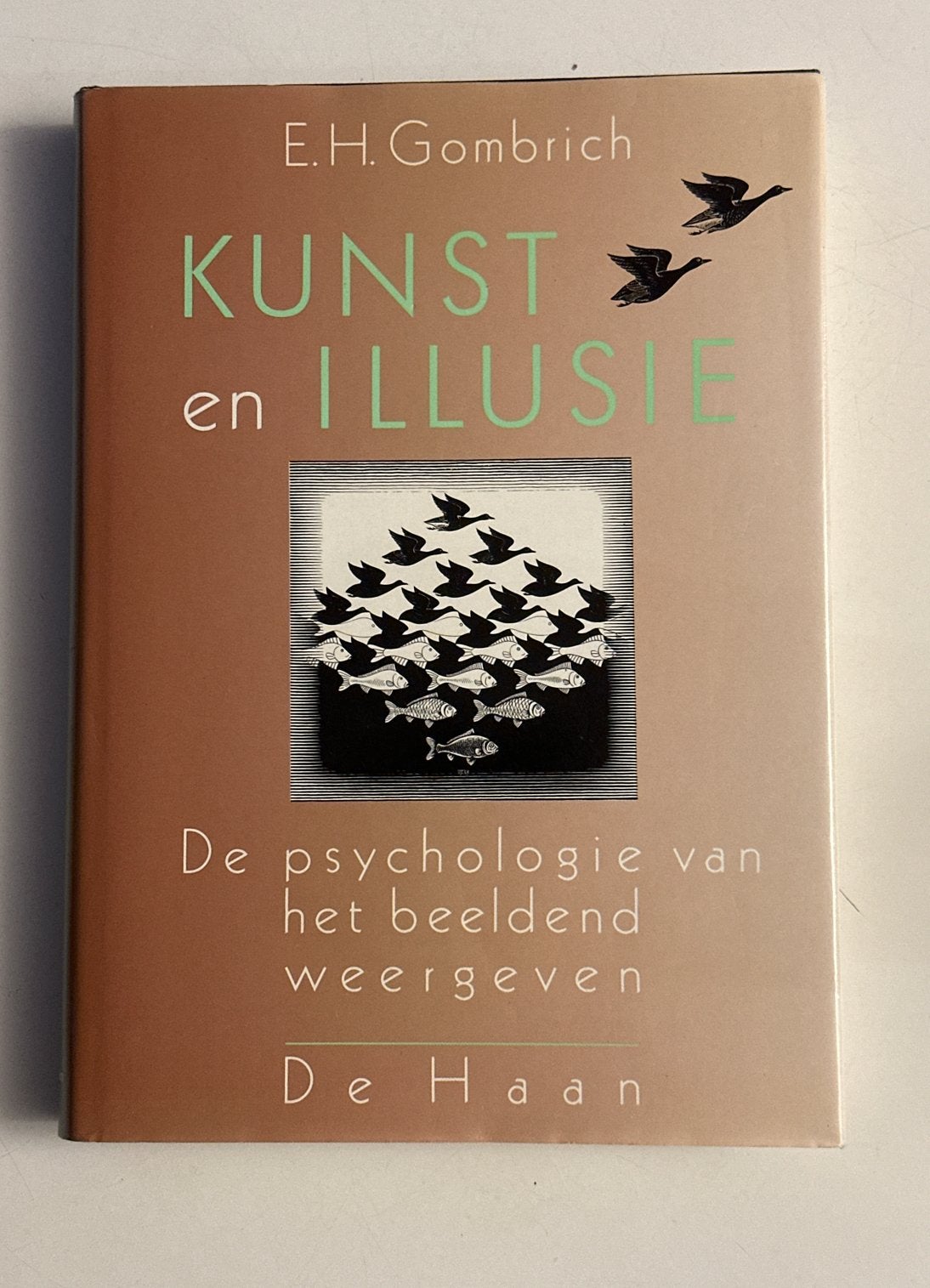Kunst en Illusie - E.H. Gombrich (De Haan), Ophalen of Verzenden, Zo goed als nieuw, Nederland