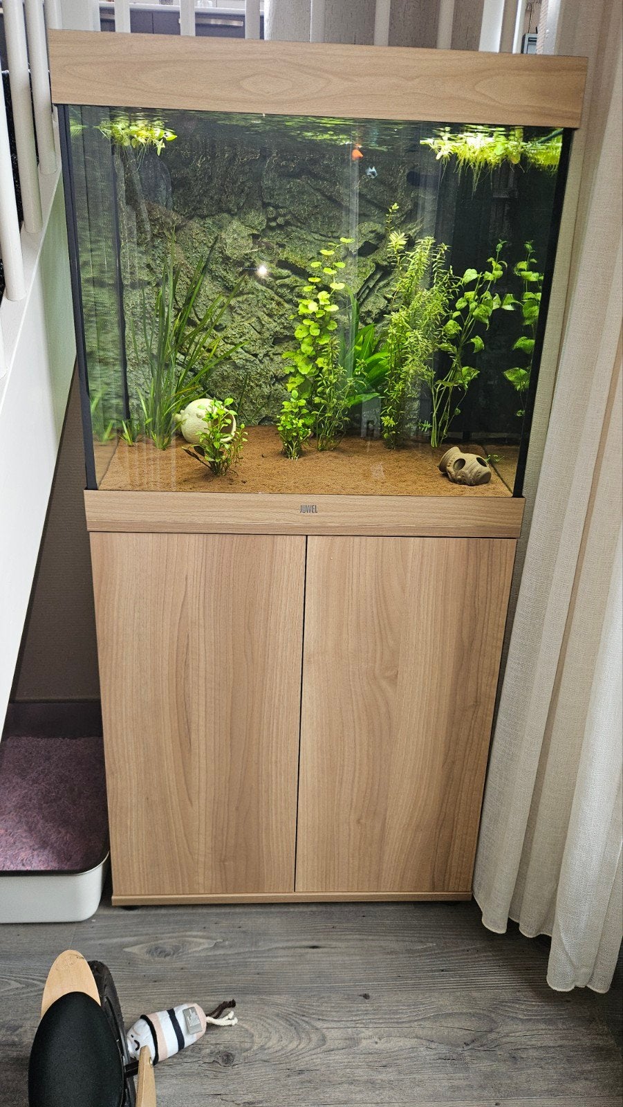 Juwel Lido 200 Aquarium, Led lampen, meubel en accessoires, Dieren en Toebehoren, Vissen | Aquaria en Toebehoren, Aquariummeubel