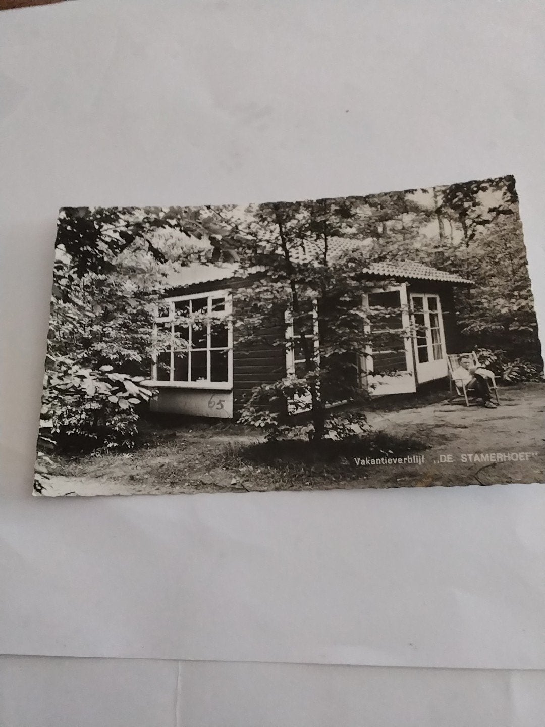 Oude ansichtkaart Vakantieverblijf "DE STAMERHOEF" MAARN, Ophalen of Verzenden, 1960 tot 1980