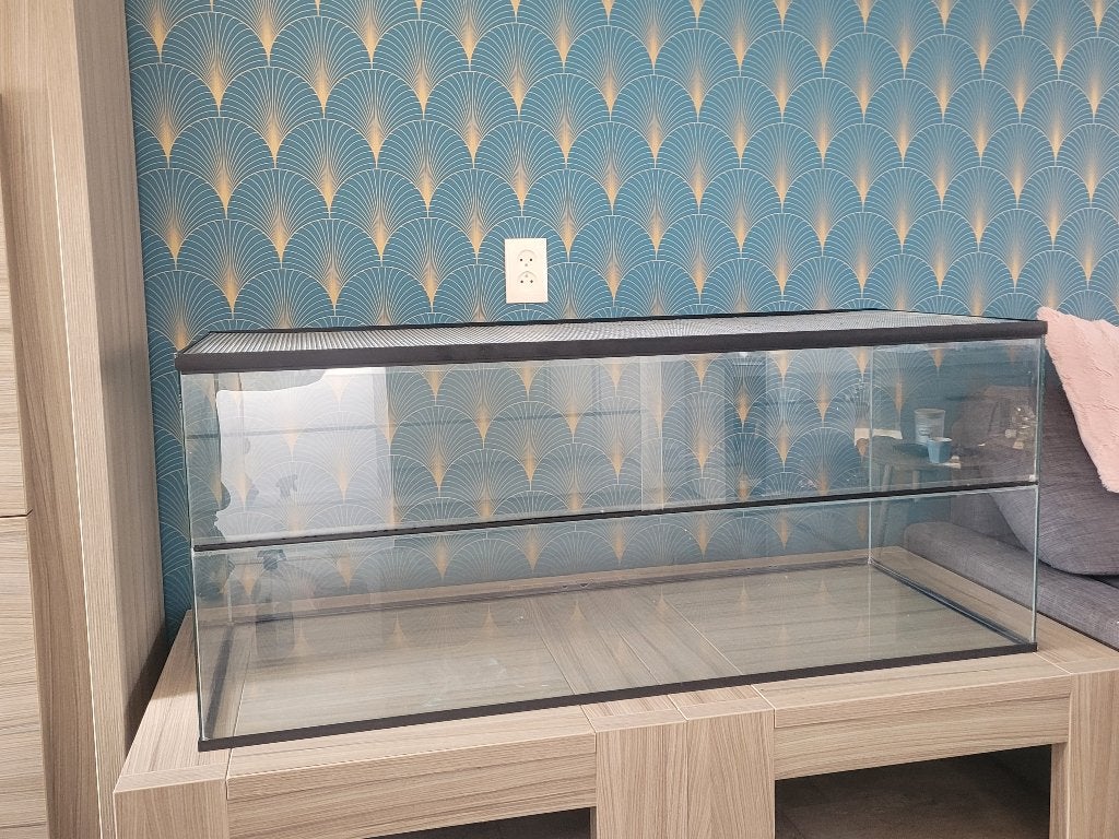Glazen terrarium 120x50x50, Hamster, Hok, Ophalen, Minder dan 60 cm