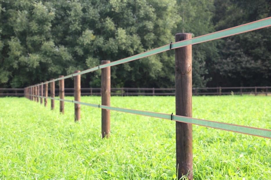 9. Schriklint | lint omheining | paarden afrastering, Dieren en Toebehoren, Stalling en Weidegang, Weidegang, 4 paarden of pony's of meer