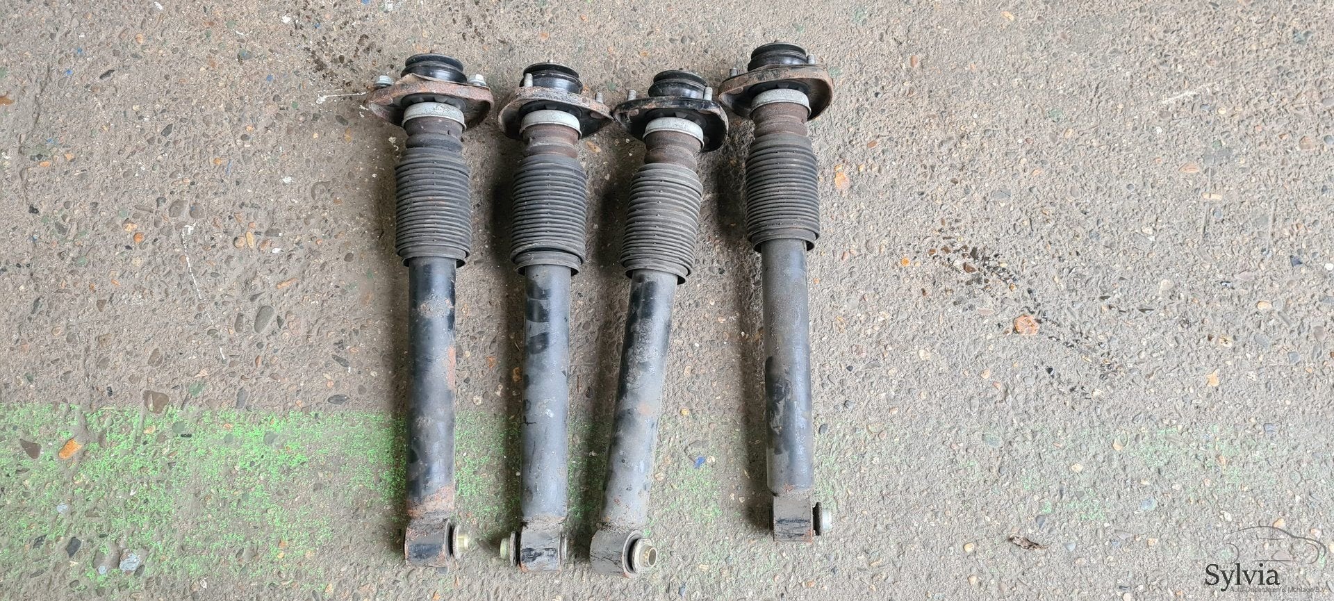 Schokdemper achter BMW X5 E53 1096278, Gebruikt, -, -, Ophalen of Verzenden