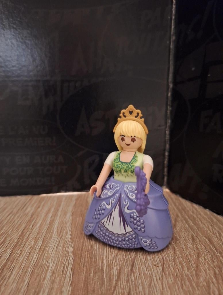 Playmobil; De prinses, Kinderen en Baby's, Speelgoed | Playmobil, Ophalen of Verzenden, Zo goed als nieuw