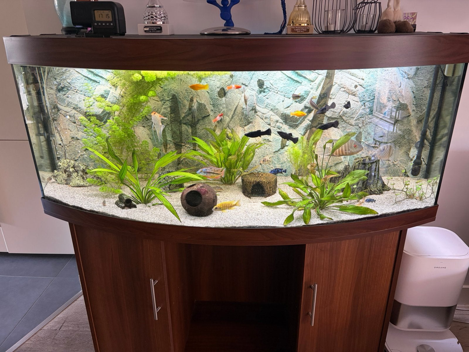 Jewel vision 450 liter, Dieren en Toebehoren, Ophalen, Zo goed als nieuw, Leeg aquarium