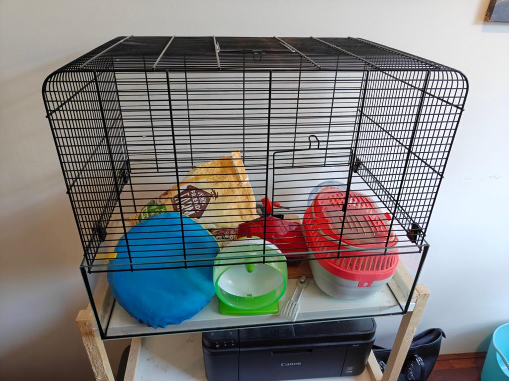 Hamsterkooi met accessoires, Kooi, Gebruikt, Minder dan 75 cm, Hamster
