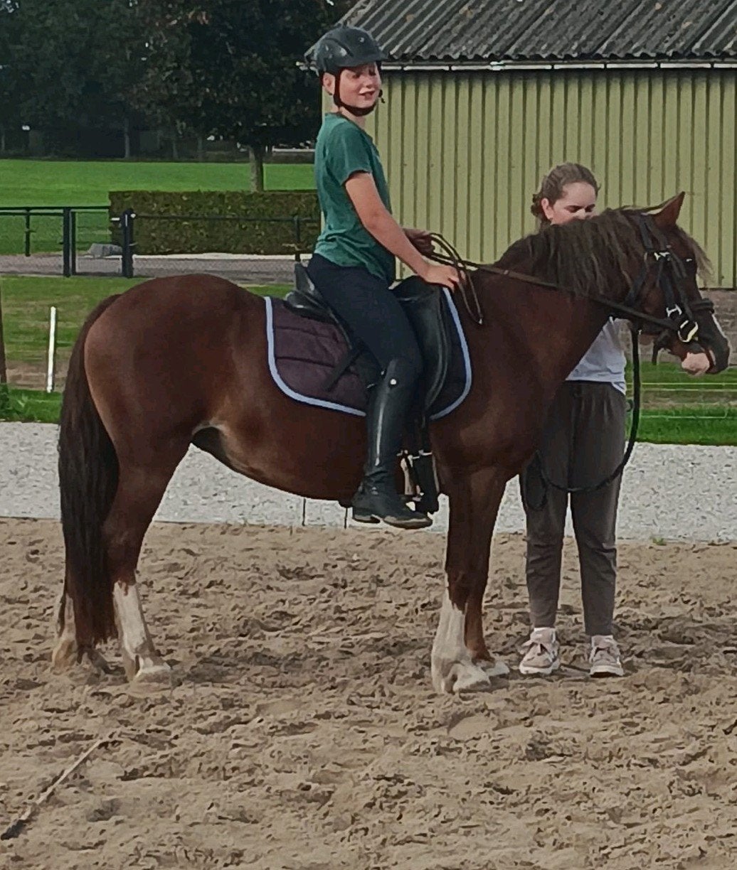 pony's zadelmak maken, Stalling, 2 of 3 paarden of pony's