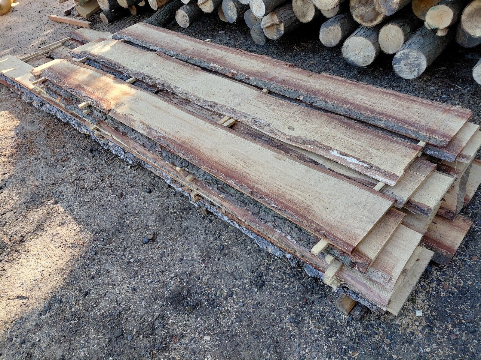 Douglas schaaldelen / planken 22mm., Ophalen, Minder dan 25 mm, Nieuw, Plank
