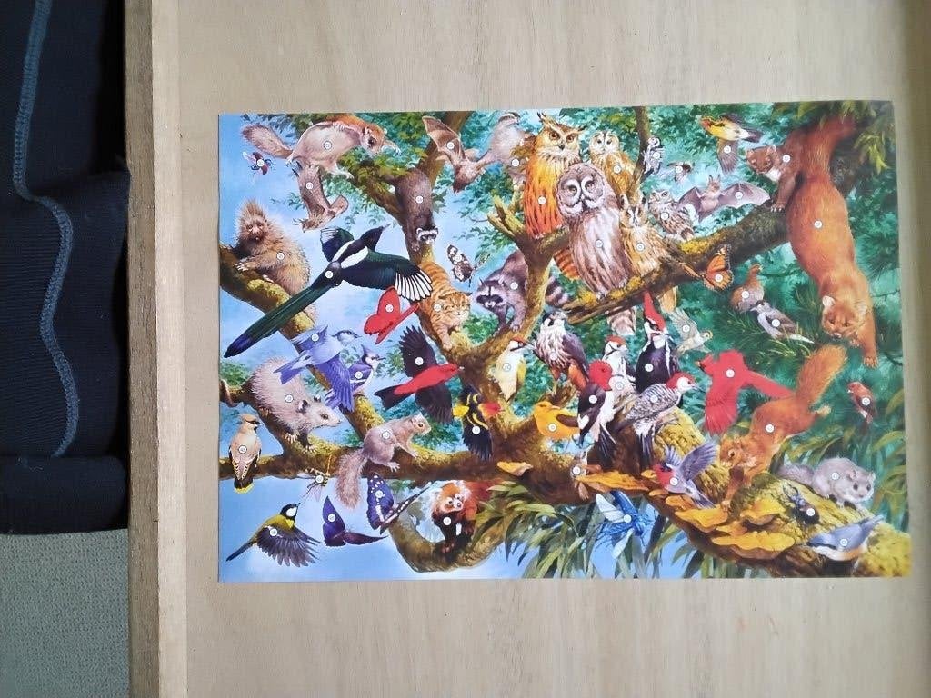 PUZZELS. COMPLETE WILDLIFE COLLECTION., Ophalen of Verzenden, 500 t/m 1500 stukjes, Zo goed als nieuw