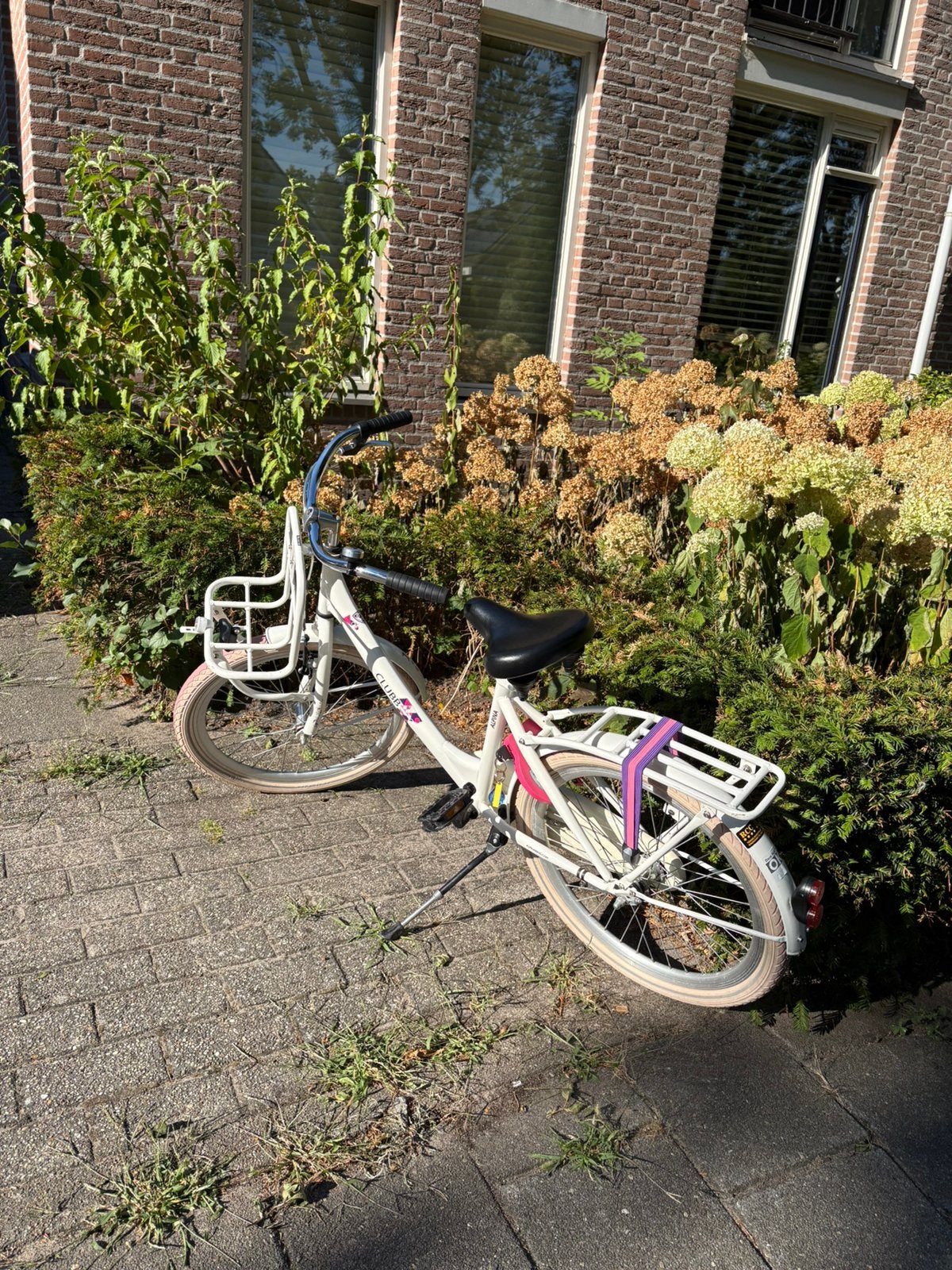 Alpina Clubb 22’ meisjesfiets, Fietsen en Brommers, Ophalen, Zo goed als nieuw, 22 inch, Handrem