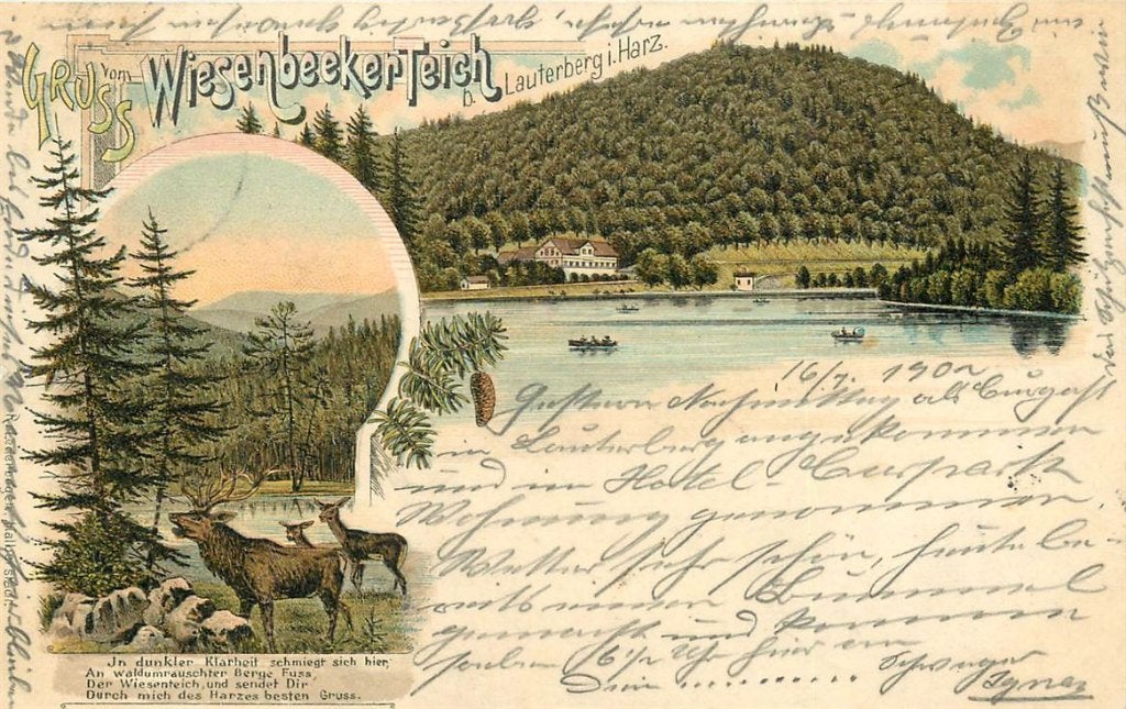 379-021-011 Lauterberg i Harz Wiesenbeekerteich Litho, Verzenden, Voor 1920, Duitsland