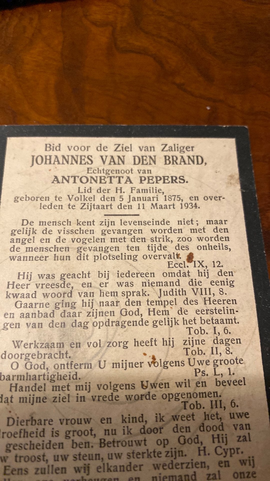 J vd Brand x Pepers 1875 Volkel 1934 Zijtaart, Ophalen of Verzenden
