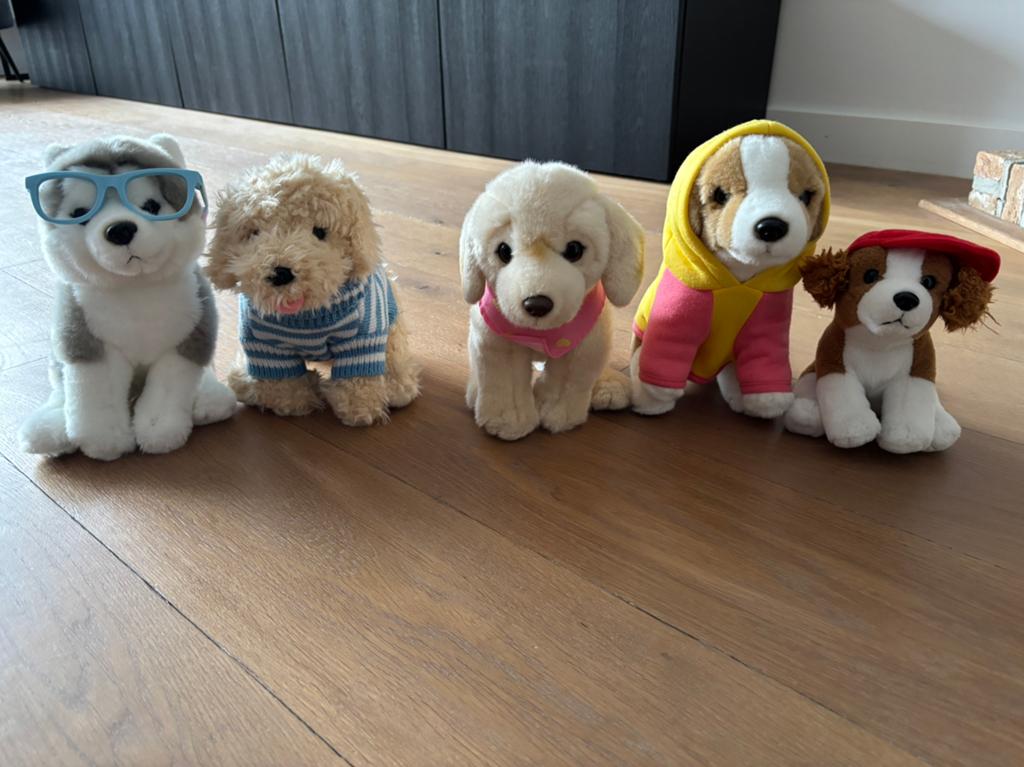 Knuffels van Studio Pets, Ophalen, Gebruikt, Hond