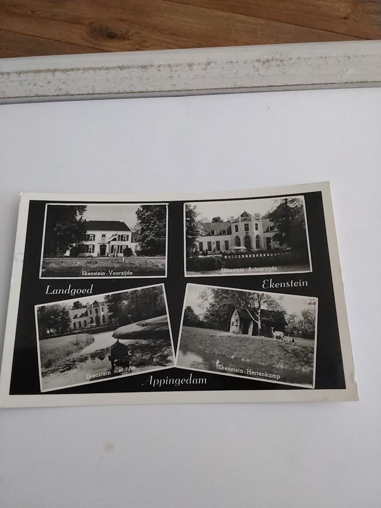 APPINGEDAM. 1953. LANDGOED EKENSTEIN, Ophalen of Verzenden, 1940 tot 1960