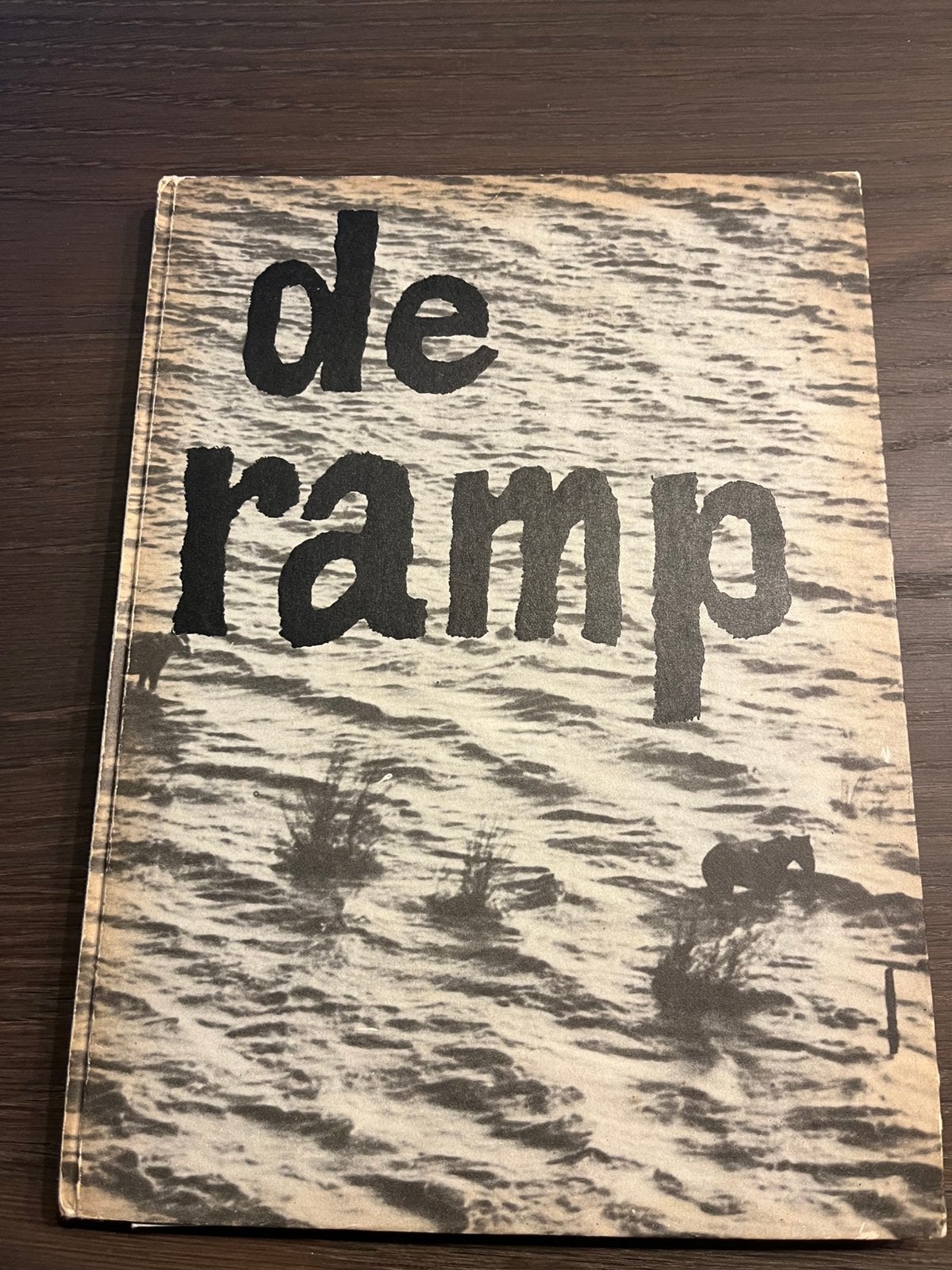 De Ramp, Ophalen of Verzenden, Gelezen