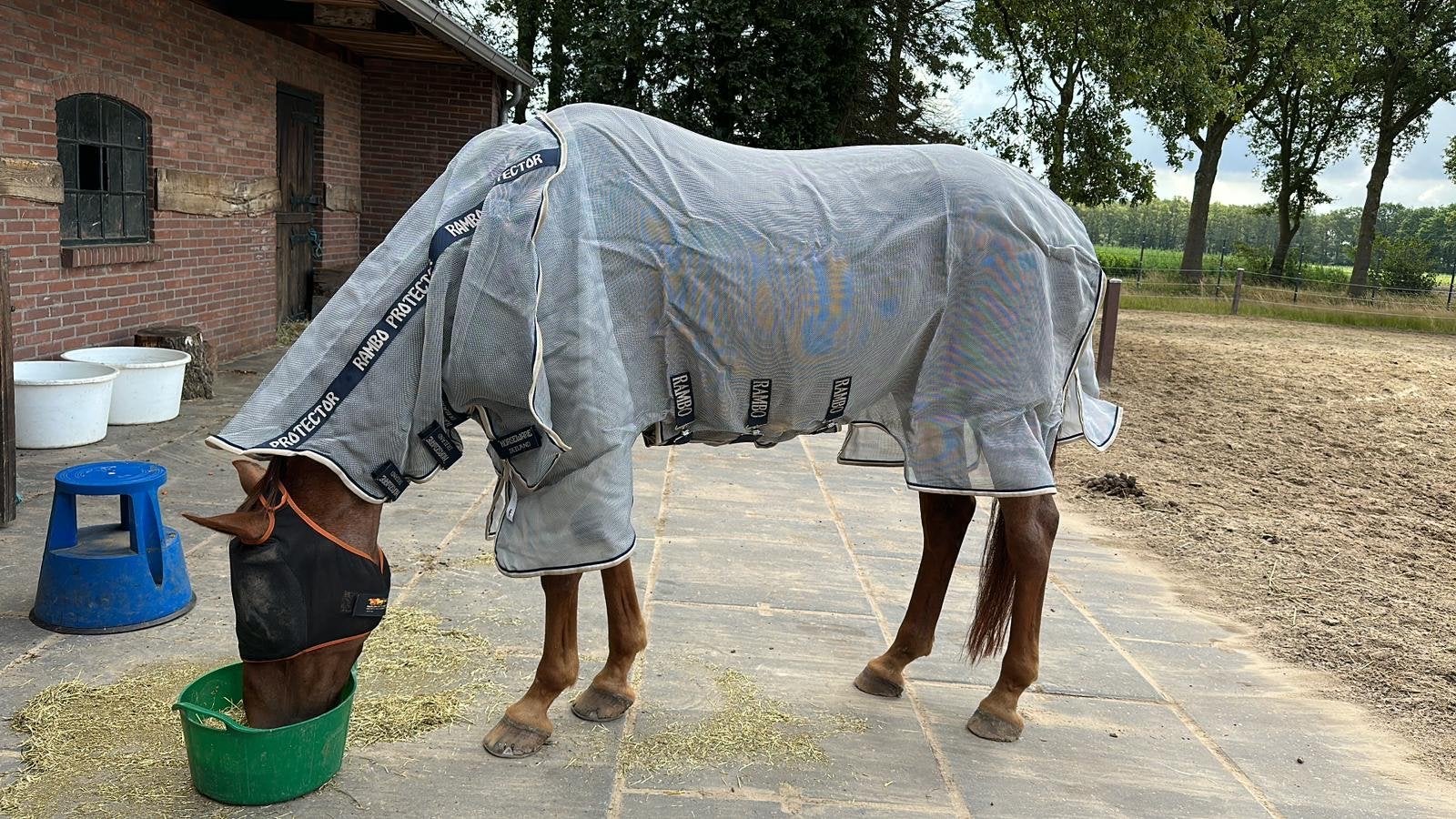 RAMBO PROTECTOR INTEGRATED FLY SHEET maat 190, Vliegendeken, Ophalen of Verzenden, Zo goed als nieuw, Afneembare hals