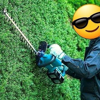 SIMPEL SNOEIWERK NODIG? IK KOM LANGS! Omgeving T Gooi