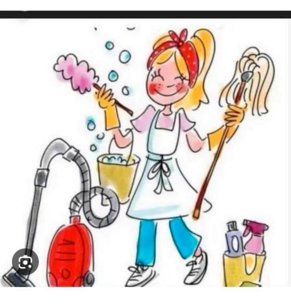 Schoonmaakster aangeboden (leiden), Vacatures, Vacatures | Schoonmaak en Facilitaire diensten, Vanaf 10 jaar, Overige vormen