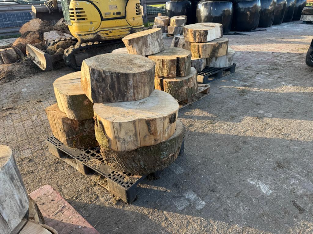 Haardhout blokken - Diverse houtsoorten, Minder dan 3 m³, Ophalen of Verzenden, Overige houtsoorten, Blokken