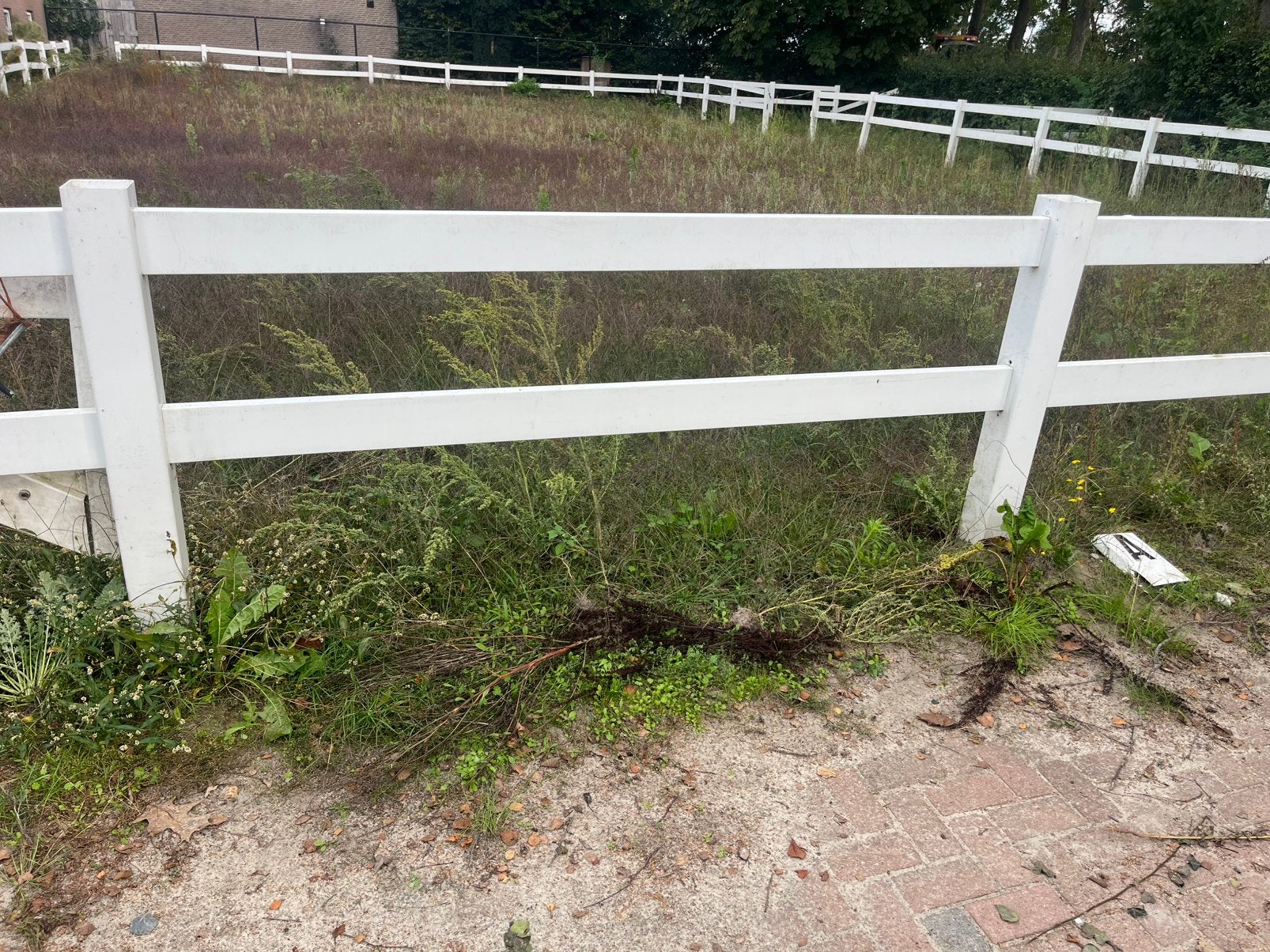 Kunststof paarden wei omheining, Dieren en Toebehoren