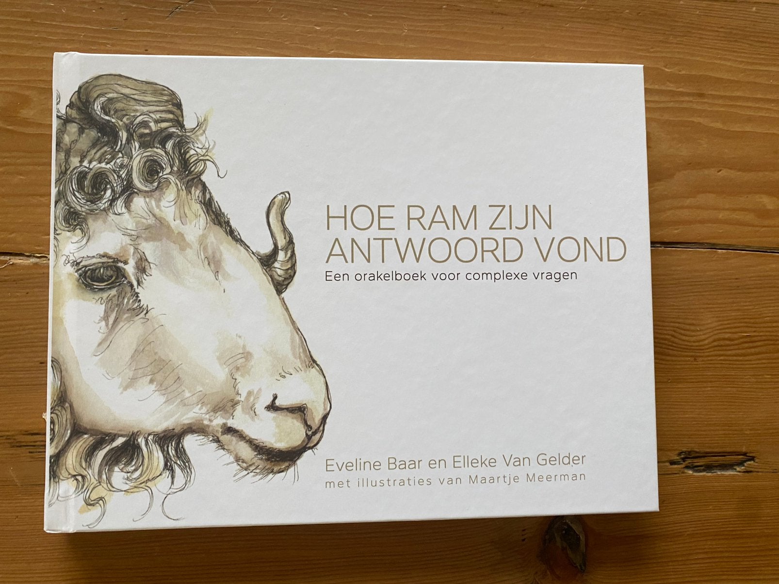 Hoe ram zijn antwoord vond - Eveline Baars, Ophalen of Verzenden, Zo goed als nieuw, Management