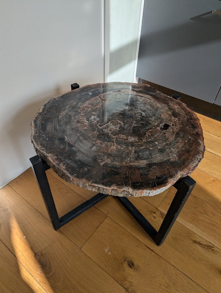 Tafel van versteend hout, Overige materialen, Rond, 55 tot 75 cm, Zo goed als nieuw