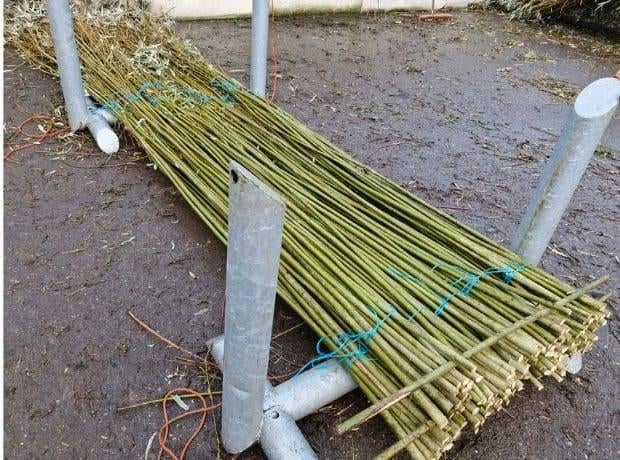 Lange wilgentakken Gezocht, Ophalen, Hout, 3 tot 6 meter