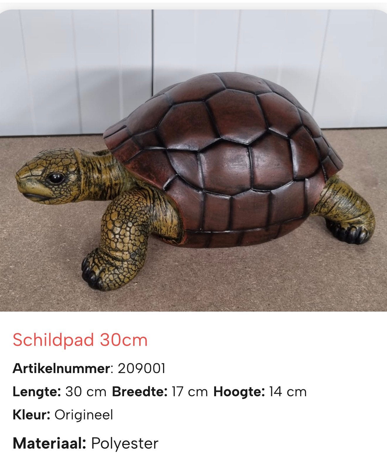 Schildpad 30 cm, Ophalen of Verzenden, Nieuw, Dier