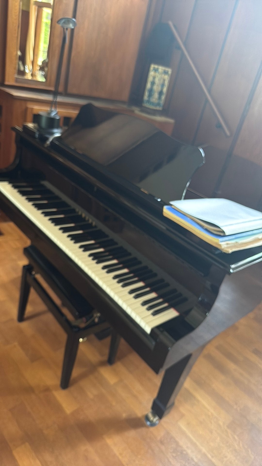 Pianoles (van hoog niveau), Komt aan huis, Toetsinstrumenten